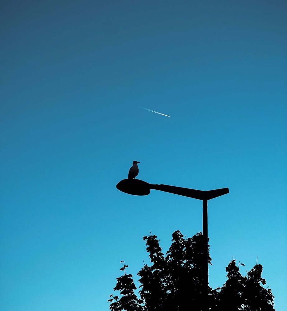Photograph by Mohammad Husaini