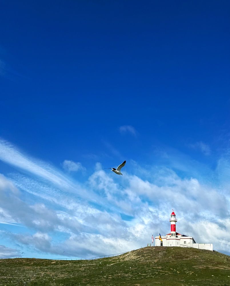 Photograph by Юлия Порфирьева