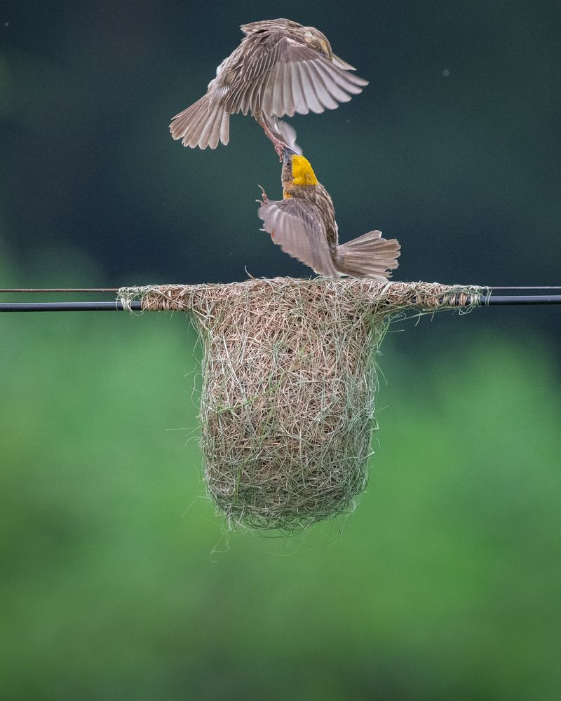 Photograph by Prabhat Ghosh