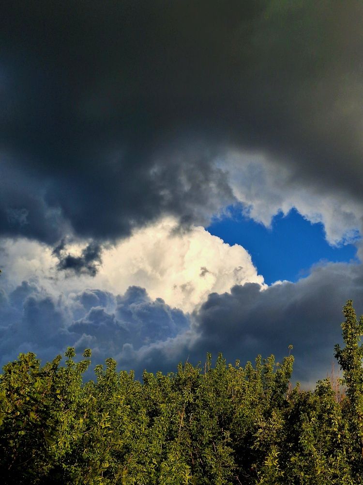 Photograph by Ольга