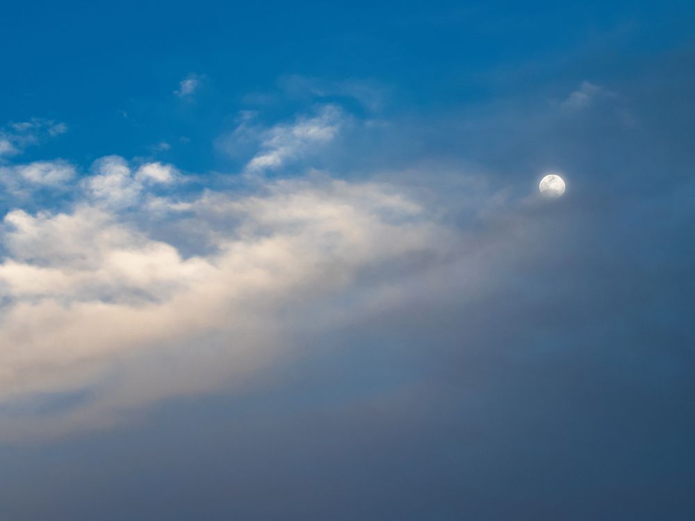 Photograph by Davoud Naeimi