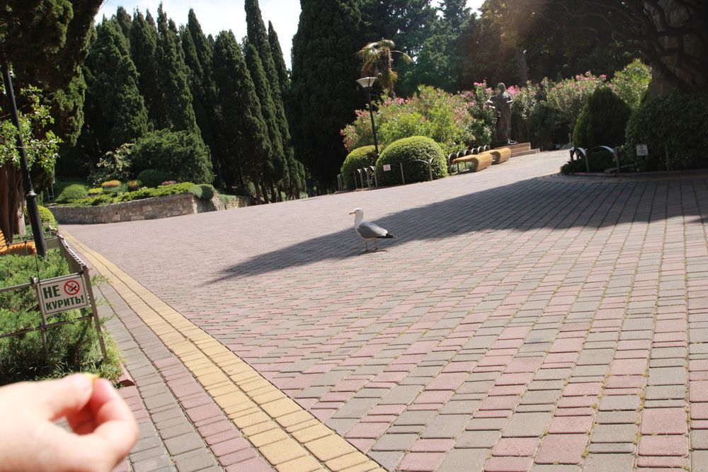 Photo #13739353