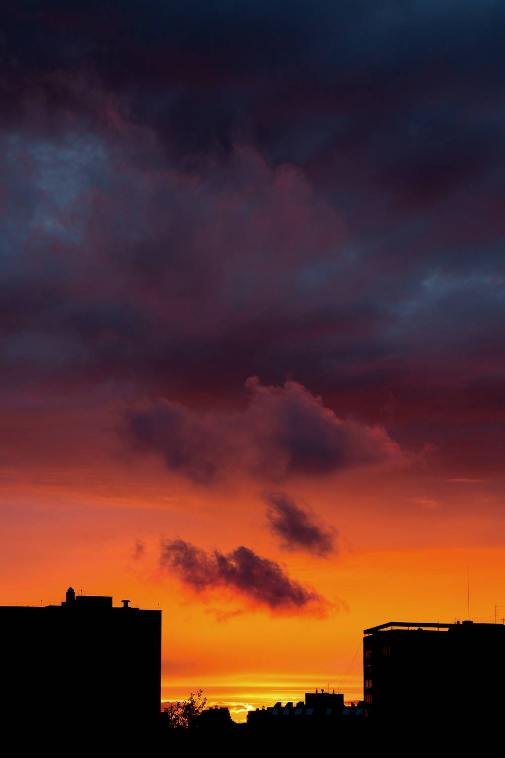 Photo #13739405