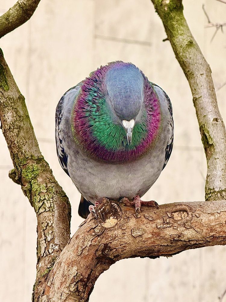 Photograph by Марина Василенко
