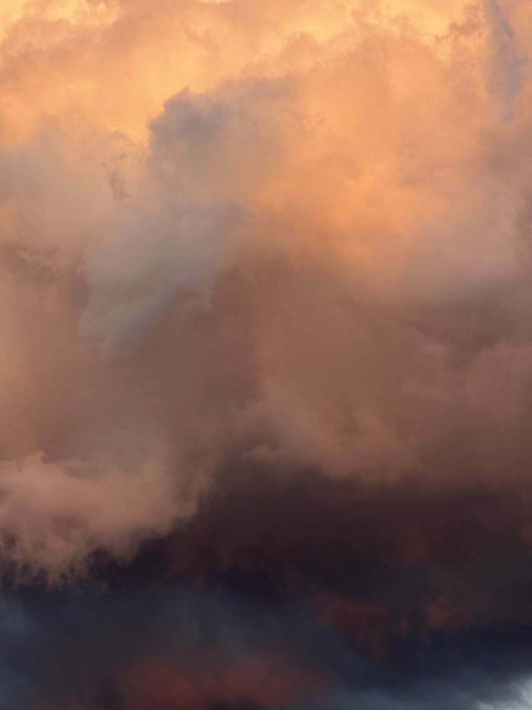 Photograph by Анна Пигулевская