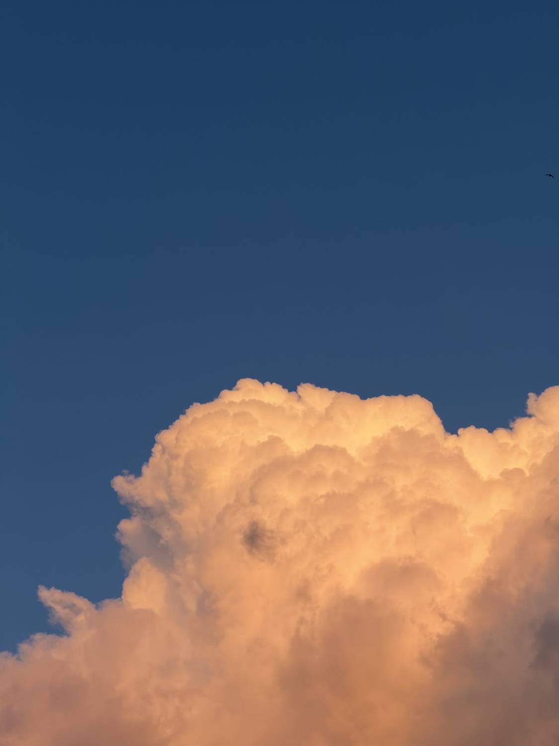 Photo #13739414