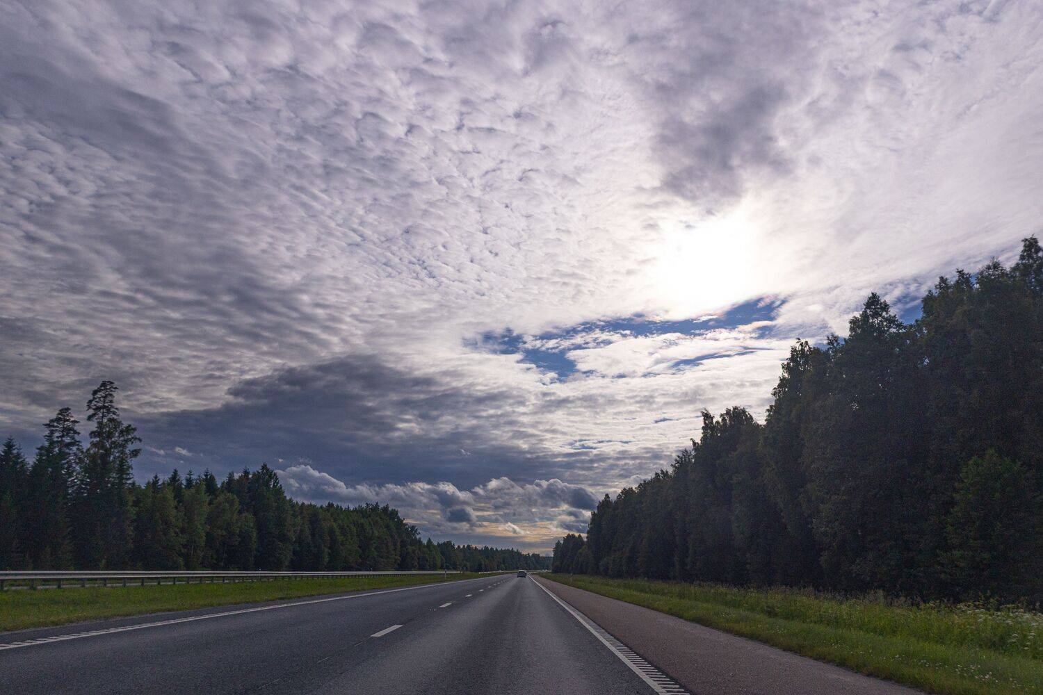 Photo #13739417