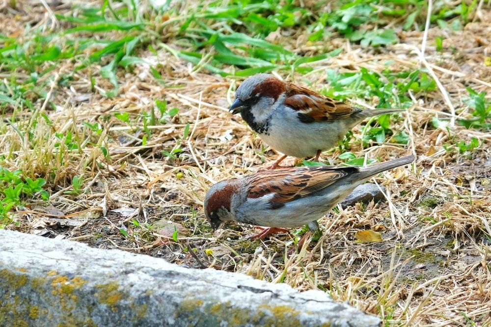 Photograph by Юлия Фёдорова