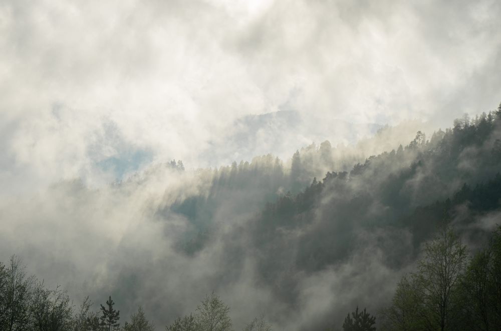 Photograph by Иван Губский