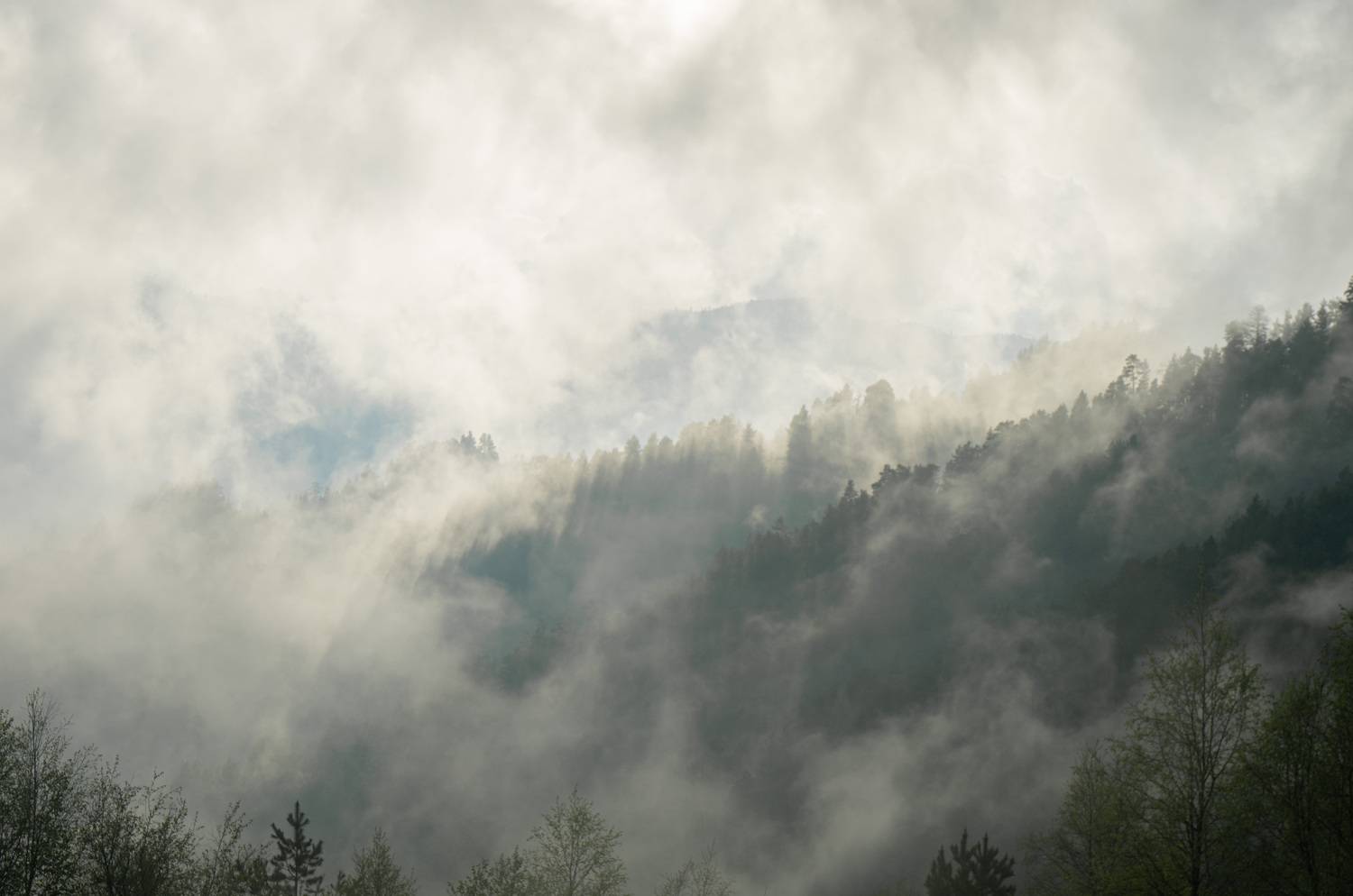 Photo #13739511