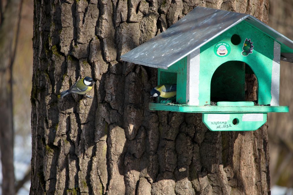 Photo #13739574