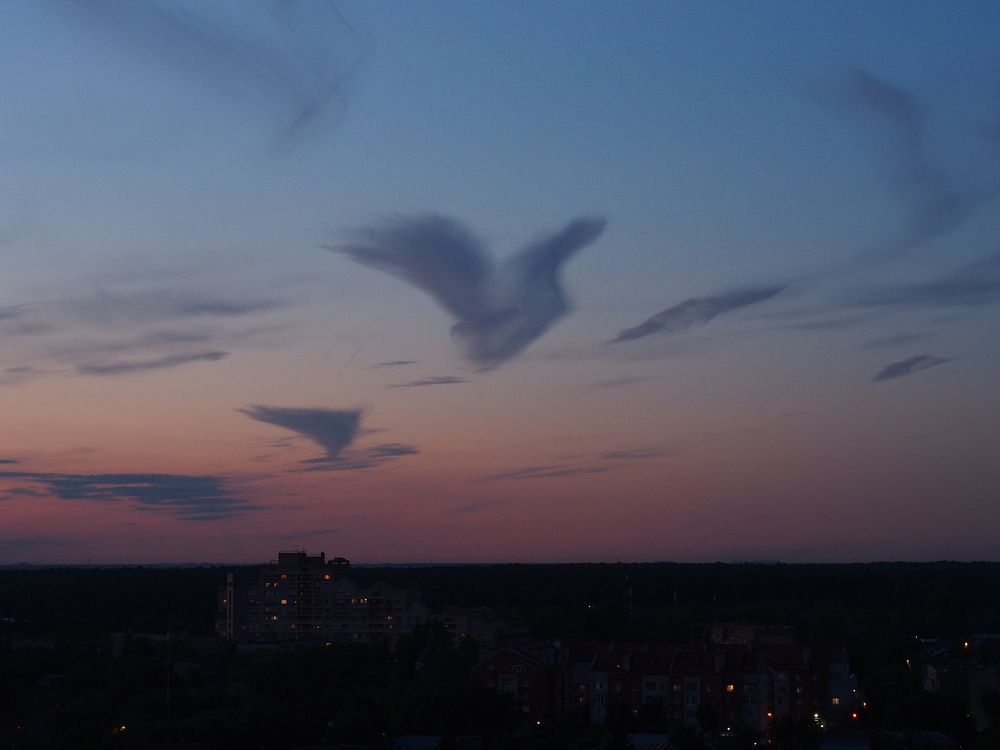 НЕБЕСНЫЕ ПТИЦЫ