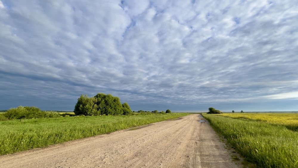 Photograph by Мария Петровцева