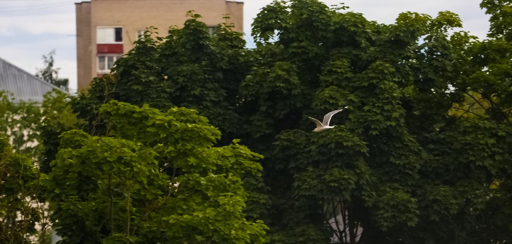 Photograph by Алёна Усова