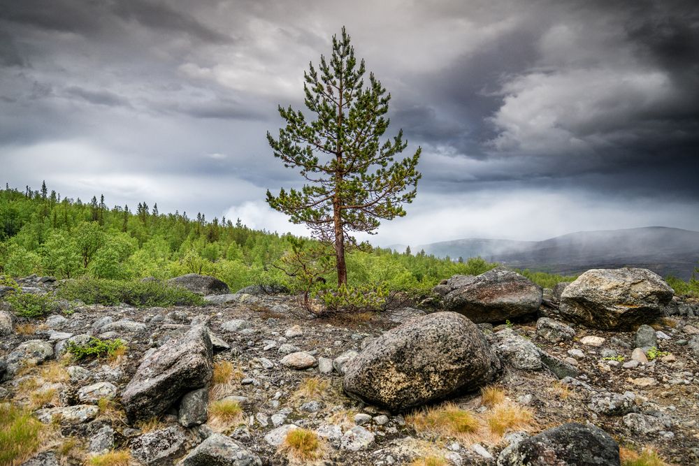 Photograph by ARTEM KORZHUKOV