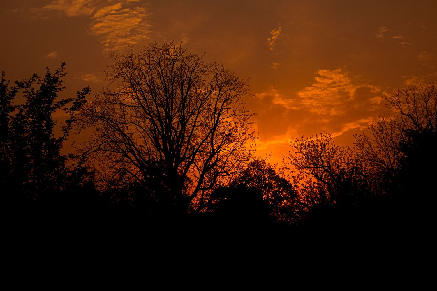 Photo #13739650