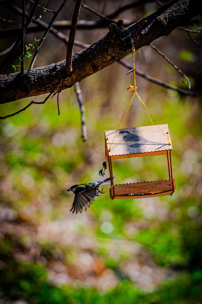 Photograph by Алексей Коробов