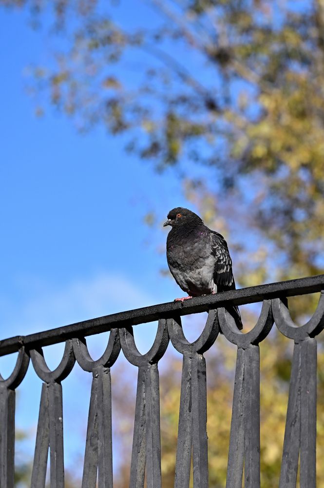 Photograph by Алексей Коробов