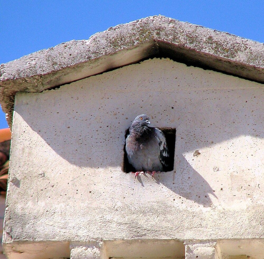 Photograph by Жанна Нечаева