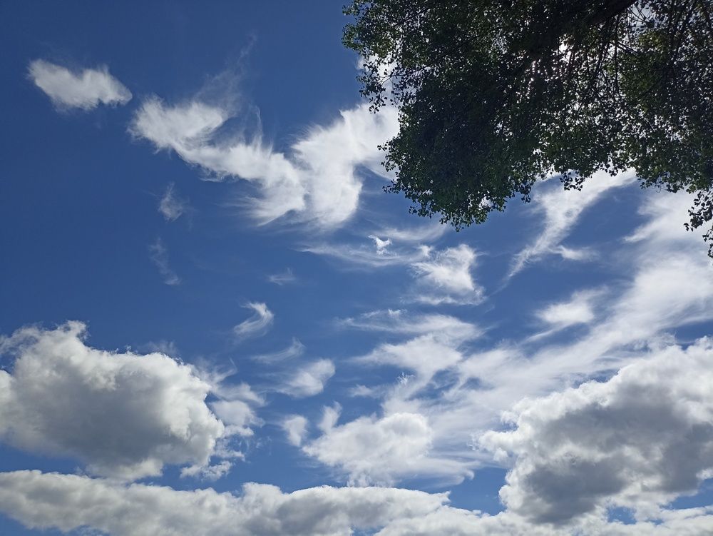 Photograph by Юлия