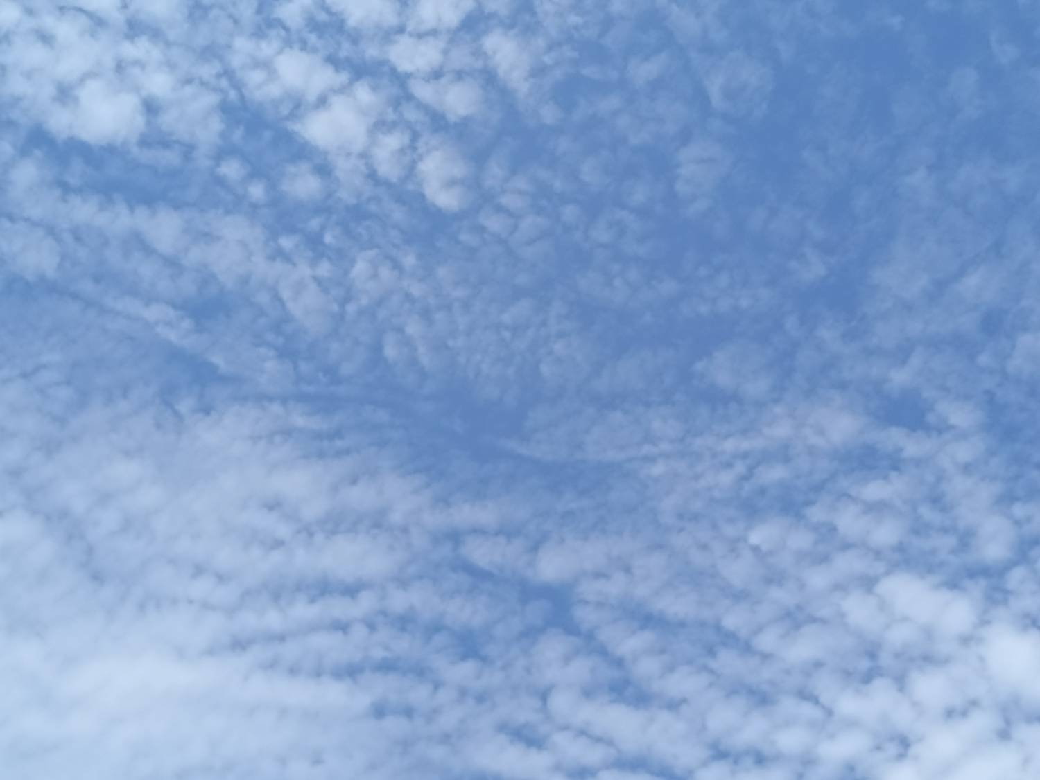 Photo #13739783