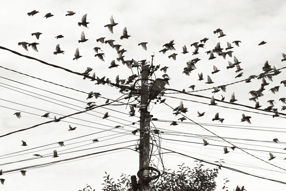 Photograph by Анастасия Псарёва