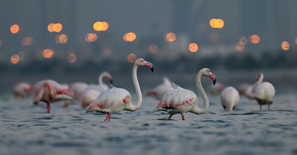 Photograph by Vishal Parmar