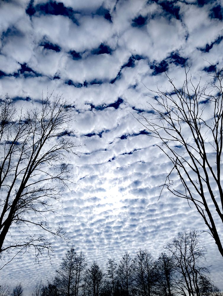 Photograph by Ирина Борисова