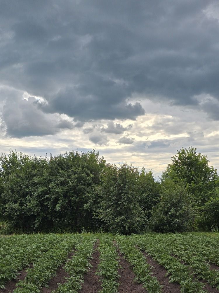 Photograph by Андрей Безгин