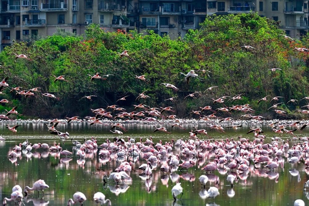 Photograph by Vishal Parmar