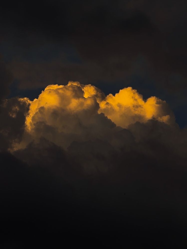 Photograph by Ксения Гулькова