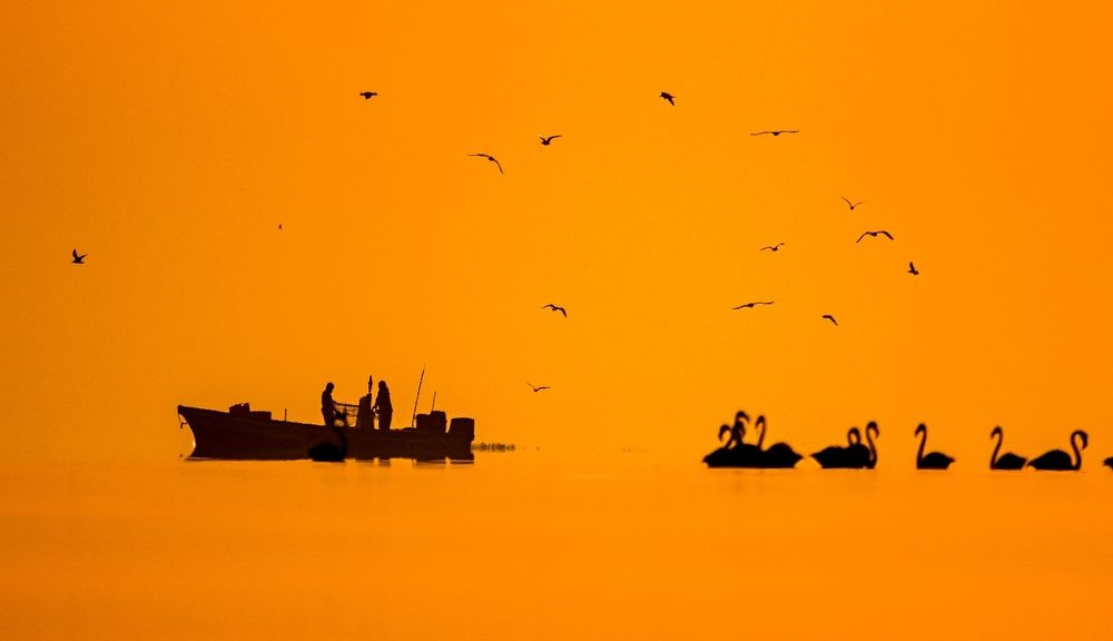 Photograph by Vishal Parmar