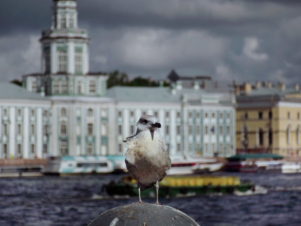 Photograph by Наталия Самкина