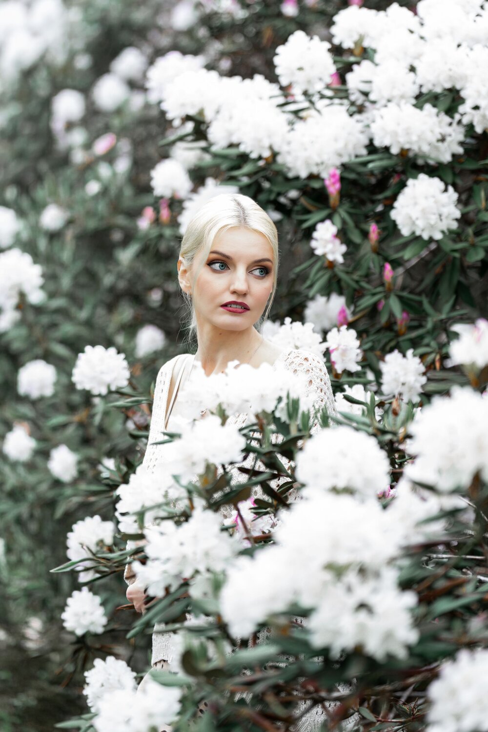 Photo #13739924