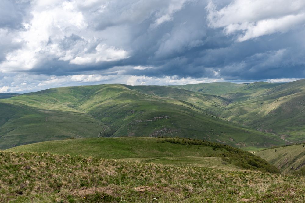 Photograph by Новиков Алексей