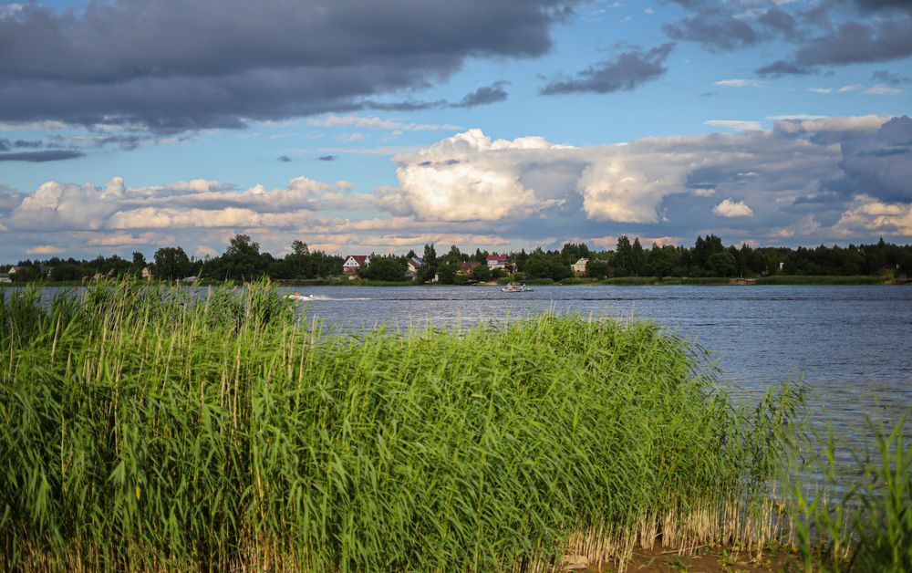 Photograph by Ирина Борисова