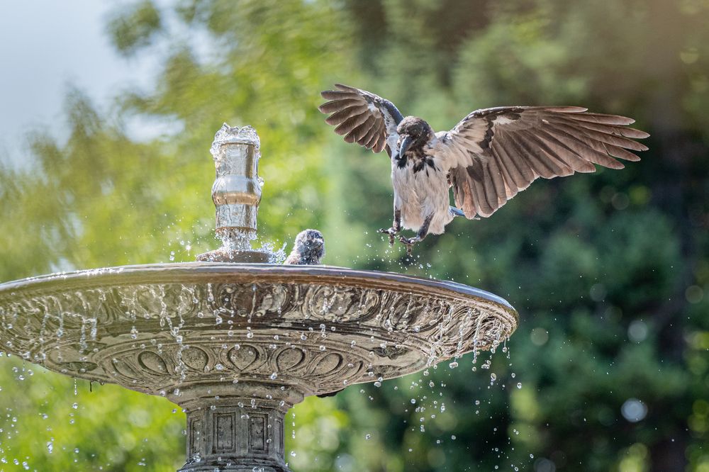 Photograph by Елена Караилиева