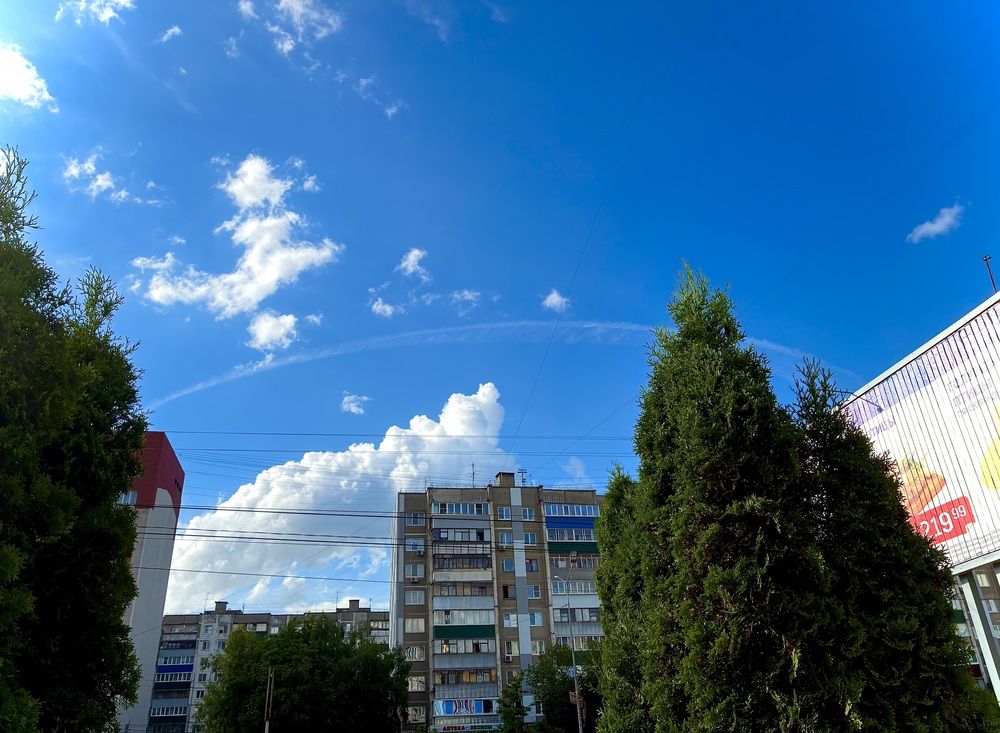 Photograph by Михаил Шевцов