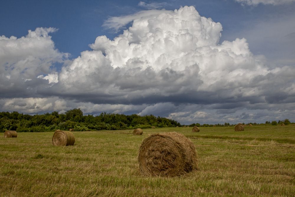 Photograph by АНДРЕЙ АБАКУМОВ