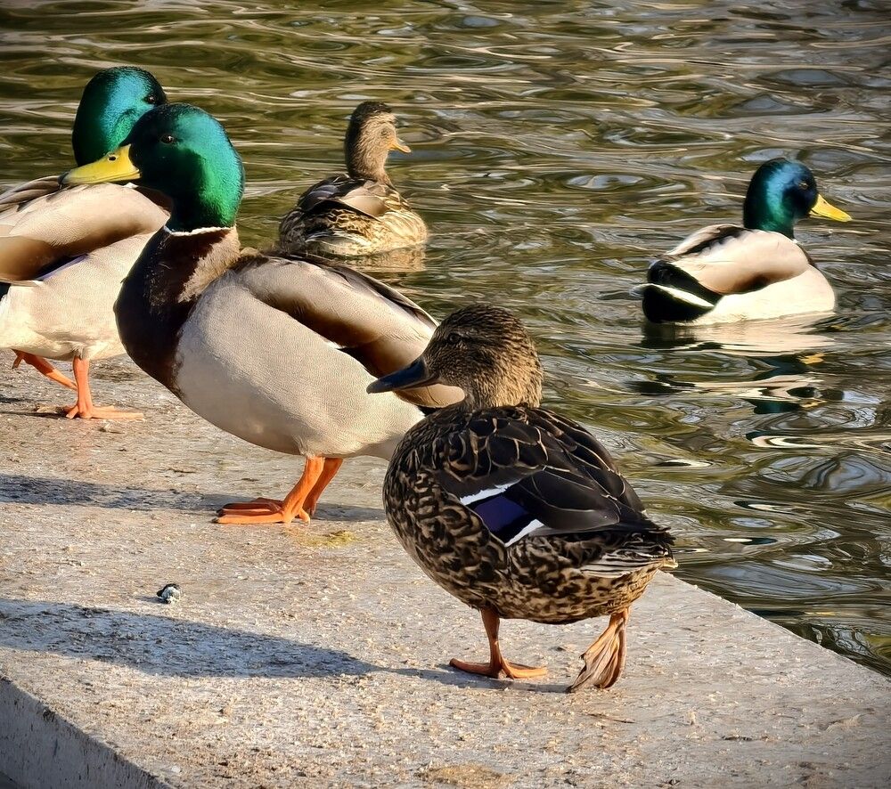 Photograph by Павел Глухов