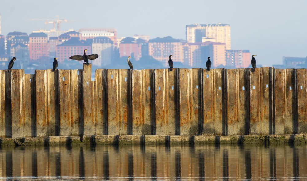 Photograph by Вадим Андреев
