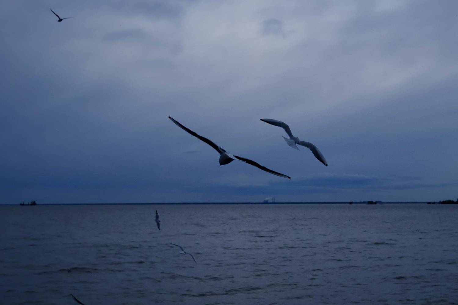 Photo #13740091
