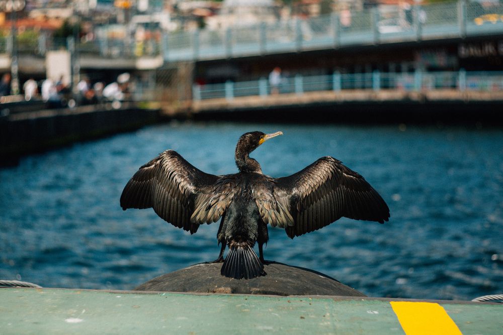 Photograph by Selman Senturk