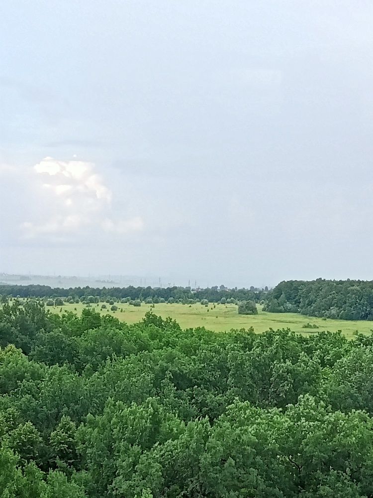 Photograph by Ольга Сергеева