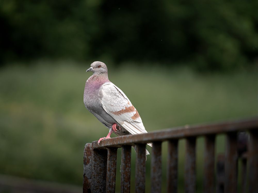 Photograph by Людмила Завьялова