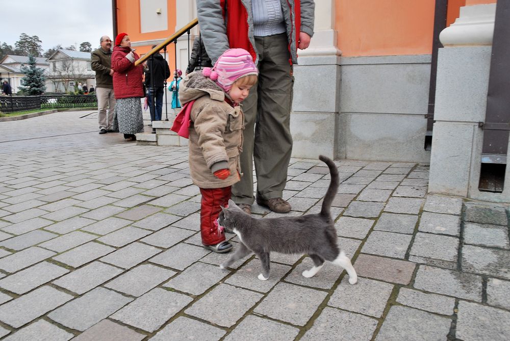 Photograph by Юрий Тимофеев