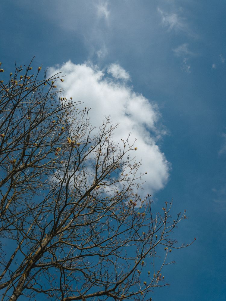 Photograph by Dmitriy Stepanov