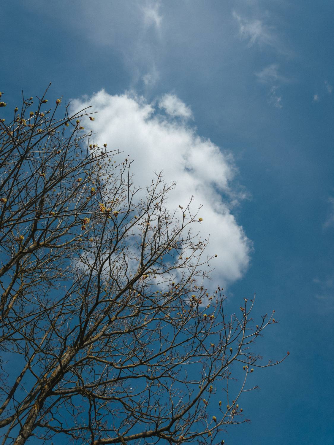 Photo #13740157