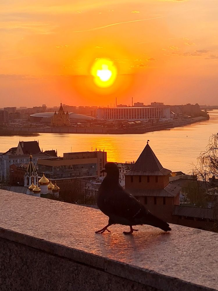 Photograph by Алёна Тагаева