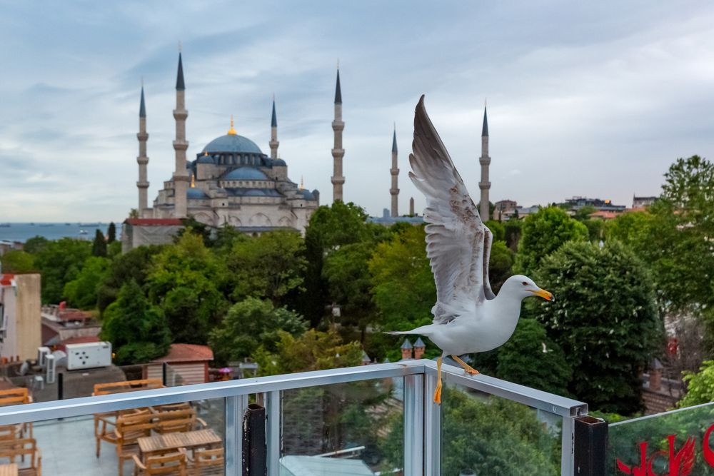Photograph by Selman Senturk